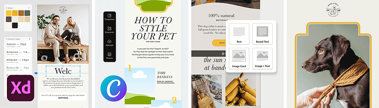 Design de template para newsletter com Adobe XD e Canva