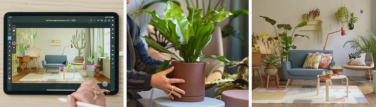 Home Styling and Decoration with Plants