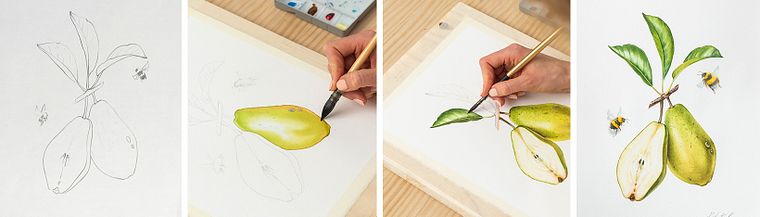 Realistic Botanical Illustration: Escape to Nature