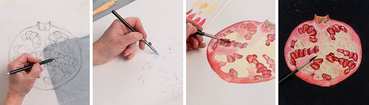 Botanical Watercolor: Illustrating Art and Science