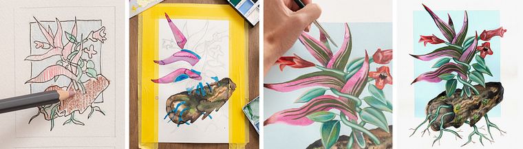 Art botanique contemporain et techniques d'illustration