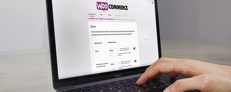 Creation of an Online WordPress Store