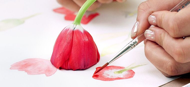 Ilustração botânica com aquarela