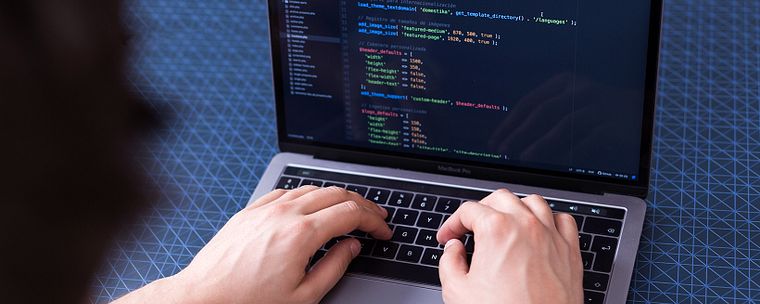 WordPress Theme Development