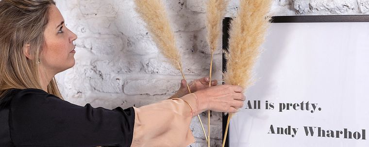 Decorating Your Home on a Budget: Basic Concepts