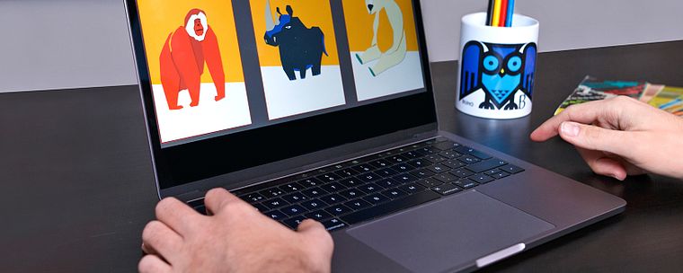 Basi del graphic design per illustratori