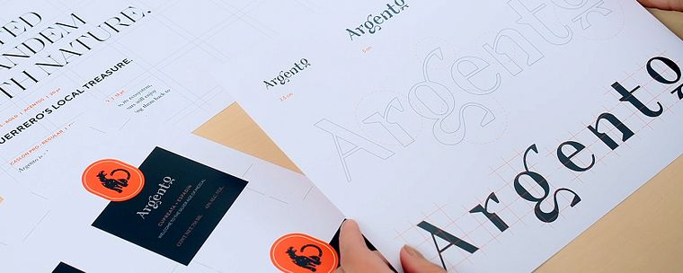 Presentation of Branding Projects