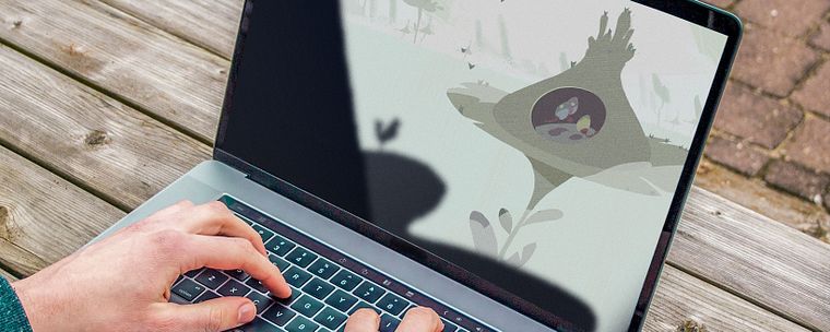 Teoría del color: cómo aplicarla a tus imágenes