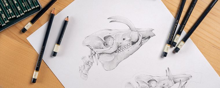 Artistic Illustration Techniques with Graphite Pencils