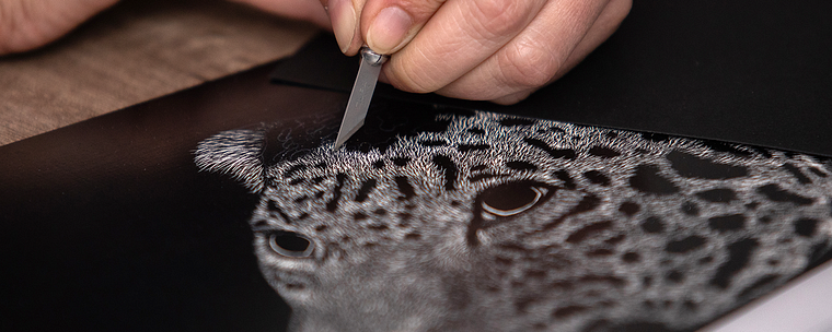 Naturalistische Illustration mit Scratchboard