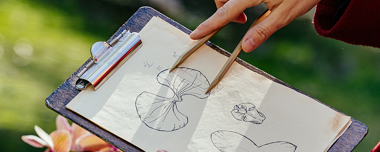 Interactive Pop-up Books: Create a Paper World