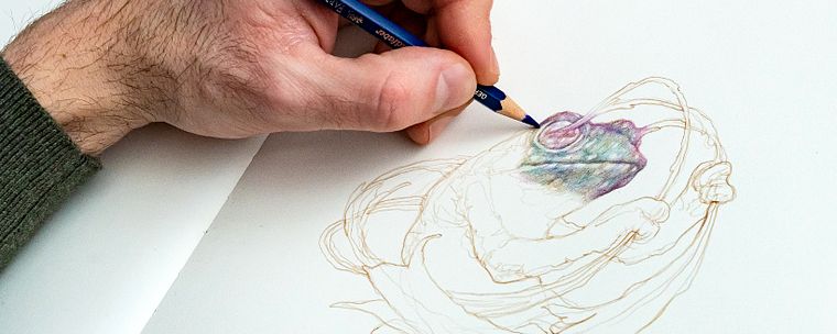 Surrealist Illustration Inspired by Nature