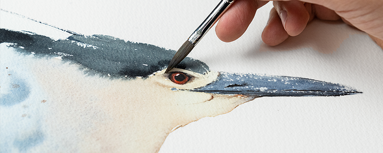 Aquarela naturalista com expressão e personalidade