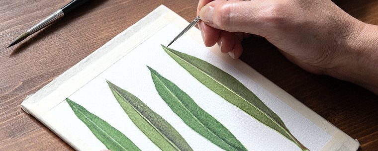 Disegno botanico realistico ad acquerello
