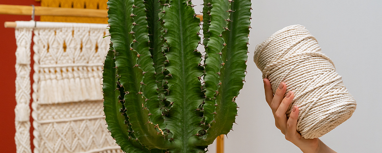 Macramé: From the First Knot to the Finished Design