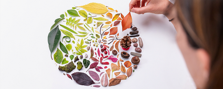Composizioni creative flat lay per social media