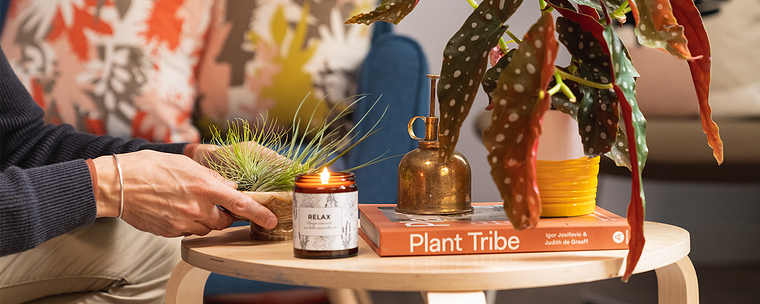 Home Styling and Decoration with Plants
