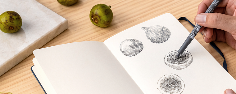 Botanical Illustration: From Notebook to Print