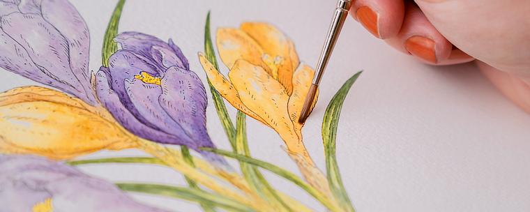 Naturillustration mit Aquarell und Stift