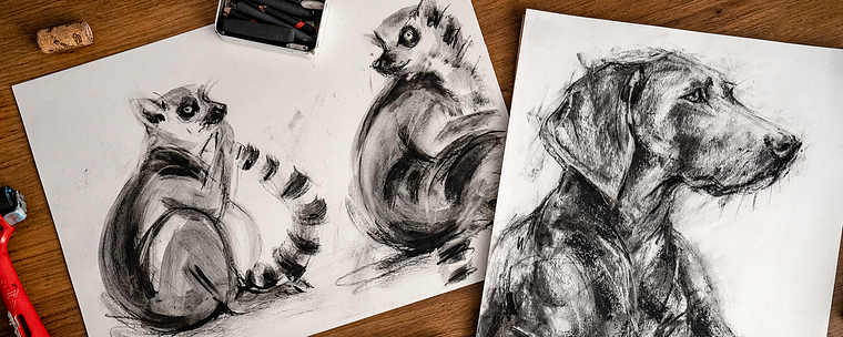 Animal Illustration with Charcoal and Ink