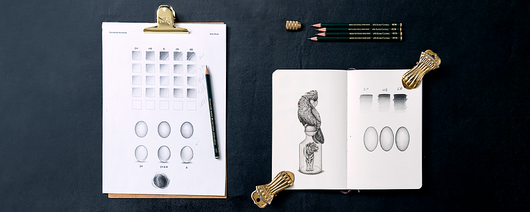 Dibujo naturalista de animales con grafito