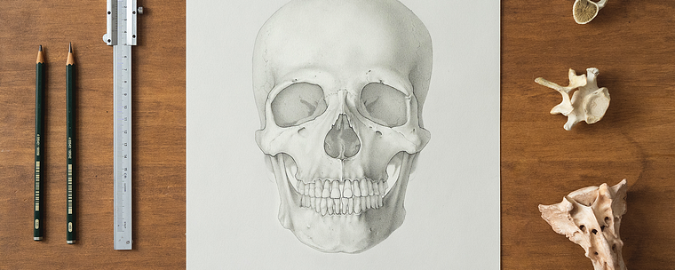Anatomie zeichnen mit Graphitstift für Anfänger