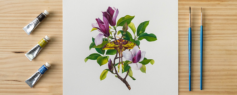 Illustrazione naturalistica con acquerelli e gouache
