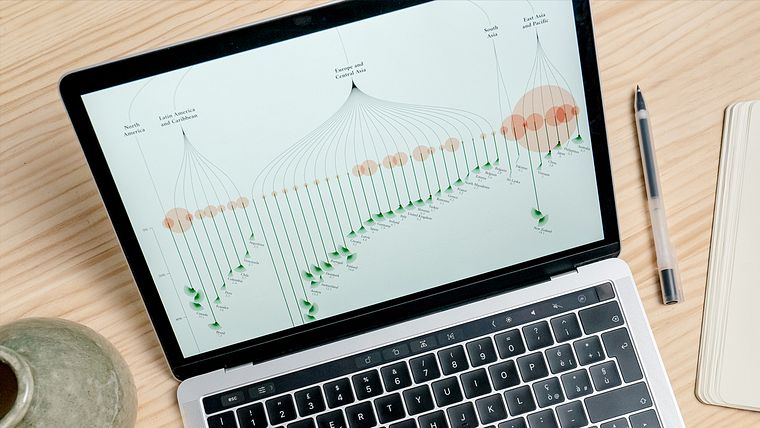 Information Design Specialization for Infographics and Visual Storytelling