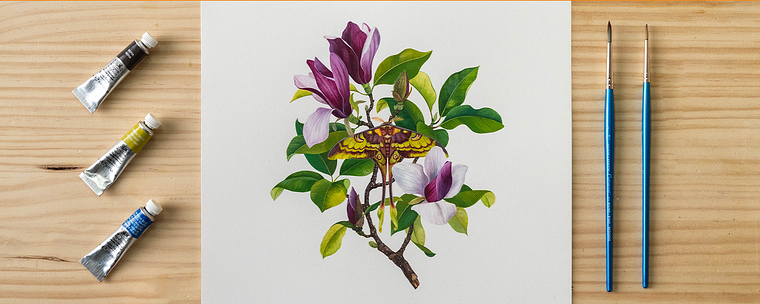 Specialization in Botanical and Naturalistic Illustration Techniques
