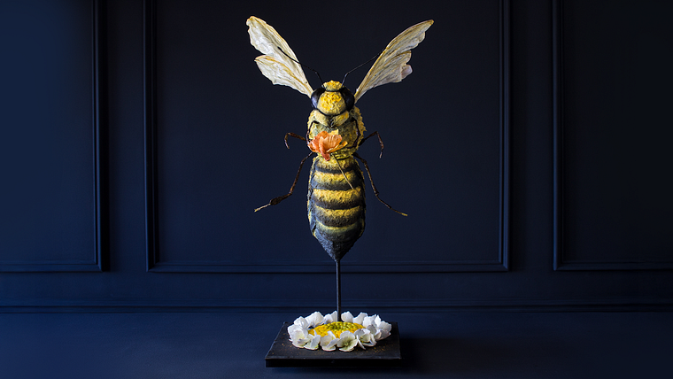 Specialization in design and chocolate sculpture: Modeling, textures and edible sculptures