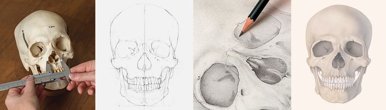 Curso guiado: Domina el dibujo anatómico con solo un lápiz