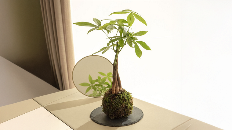 Specialization in Botanical Art Design for Interiors
