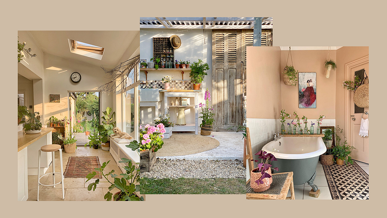 Specialization in Plant Decoration