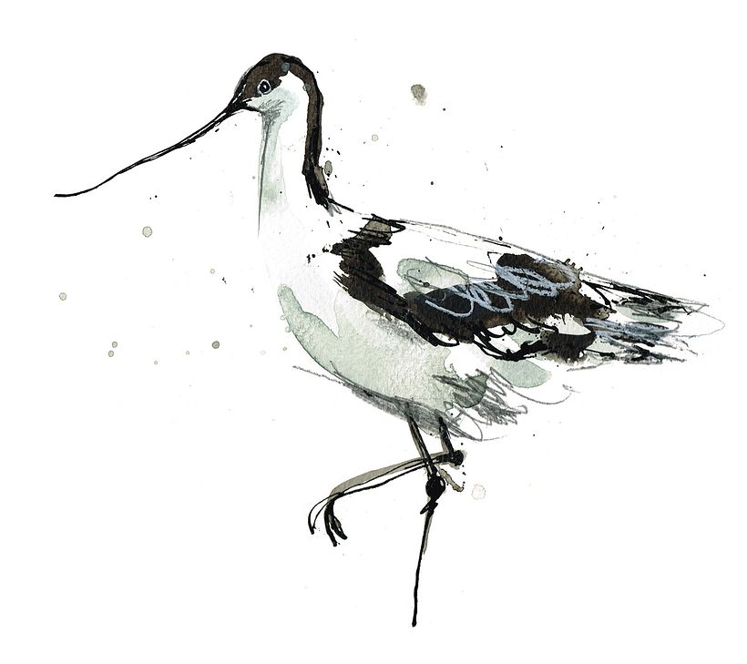Bring Your Sketches to Life: Watercolor Course | Laura McKendry by Laura McKendry