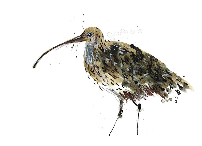 Perfect for Beginners: Watercolor Sketching | Laura McKendry by Laura McKendry