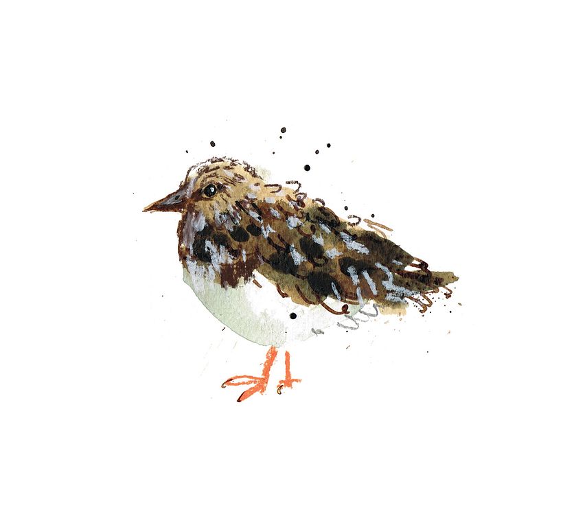 Creative Confidence with Watercolors | Laura McKendry's Course by Laura McKendry