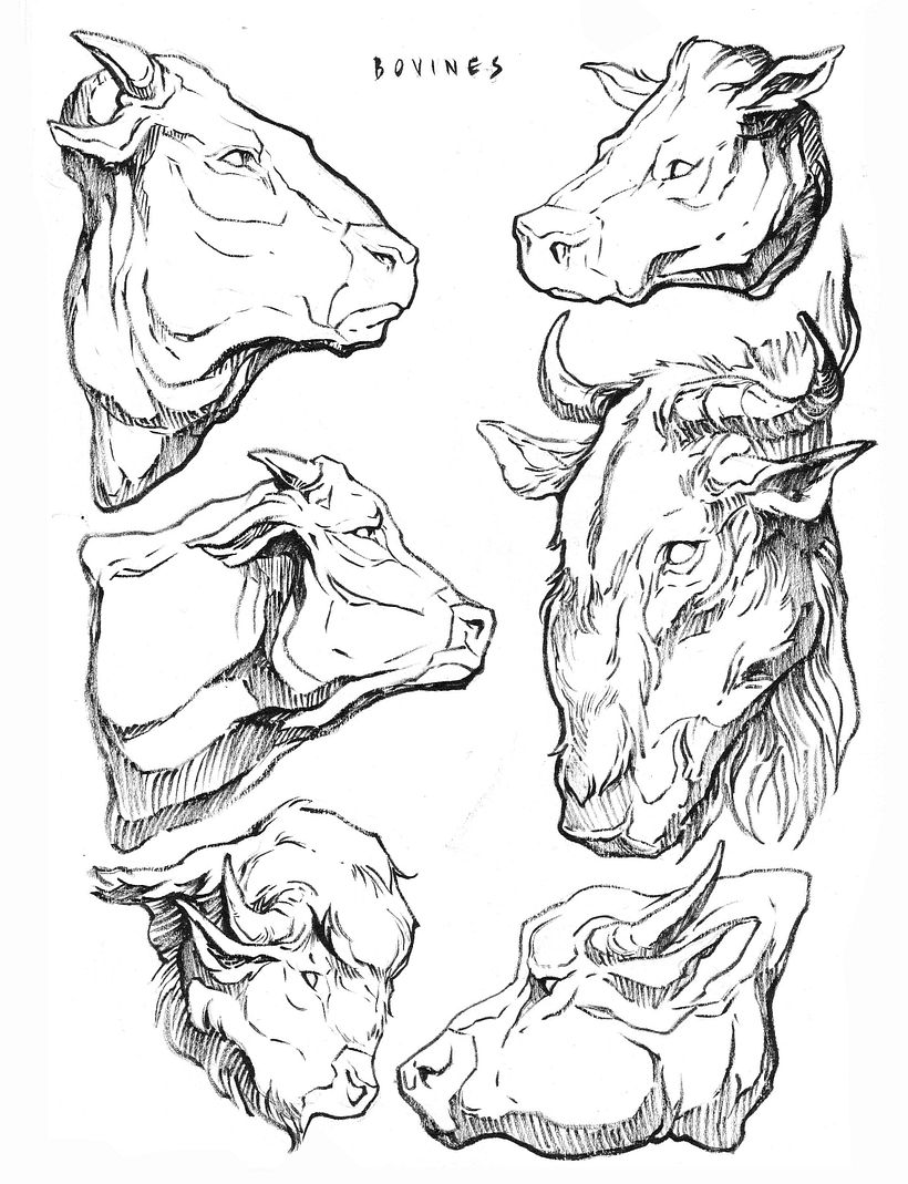 Art Meets Routine: Review of Sorie Kim's Daily Sketching Course by Sorie Kim