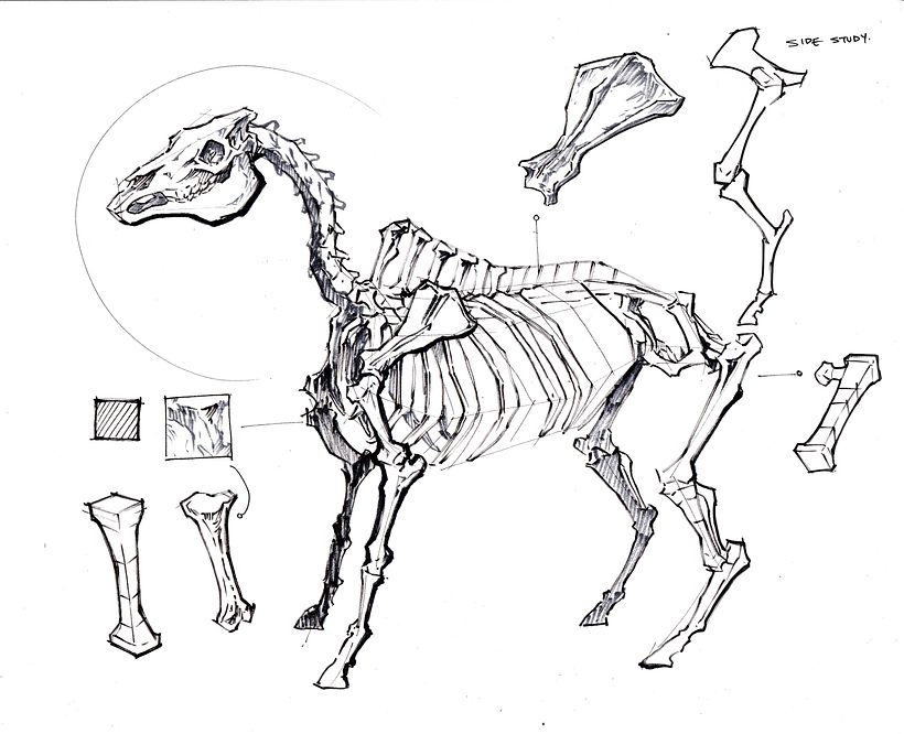 Sketch Your Way to Creativity: Review of Sorie Kim's Course by Sorie Kim