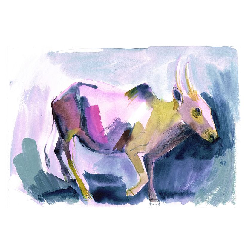 Watercolor Sketching for All: Course by Laura McKendry by Laura McKendry