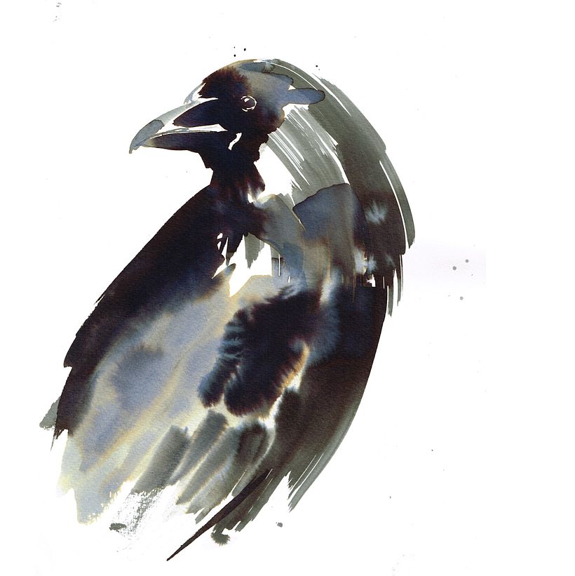Master Watercolor Basics: Laura McKendry's Beginner Course by Laura McKendry