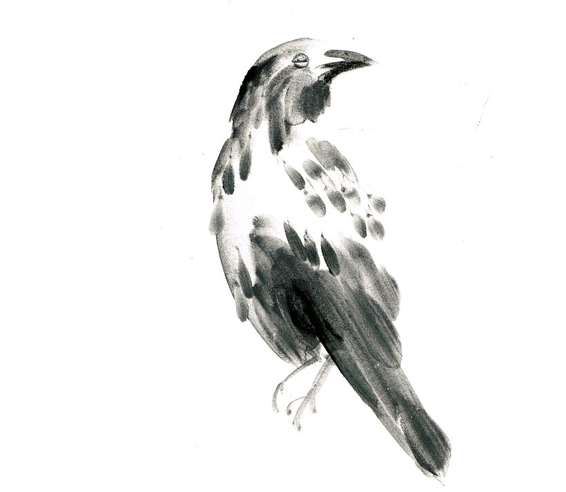 Watercolor Sketching Made Easy: Course by Laura McKendry by Laura McKendry