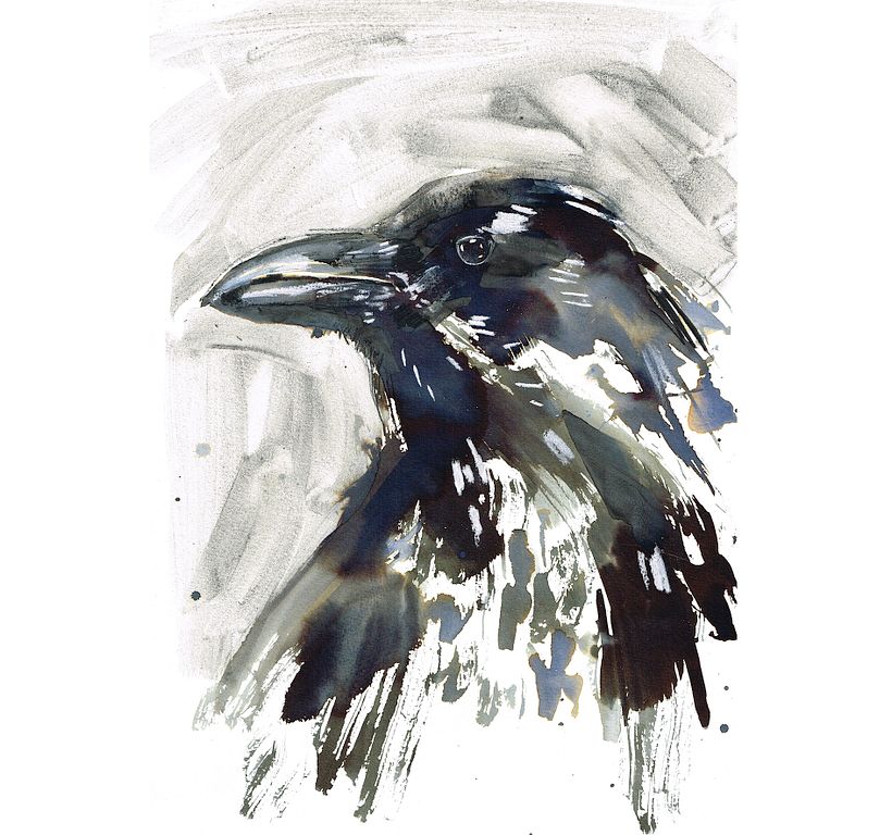 Explore Watercolor Techniques: Beginner Course by Laura McKendry by Laura McKendry