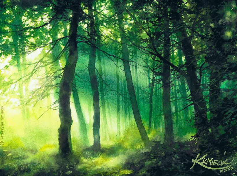 Master Watercolor Landscapes: Katarzyna Kmiecik's Guidance by Katarzyna Kmiecik