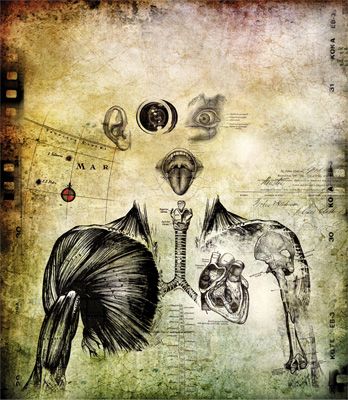 graphics 1