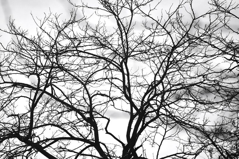 Blanco y negro 1