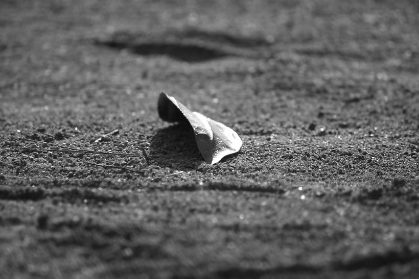 Blanco y negro 6