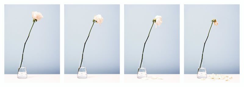 Fotografía 10