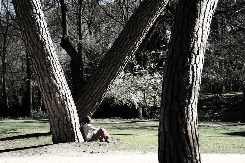 Parques y jardines 1
