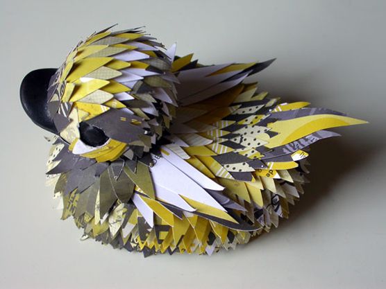 Duck Fever Show 15