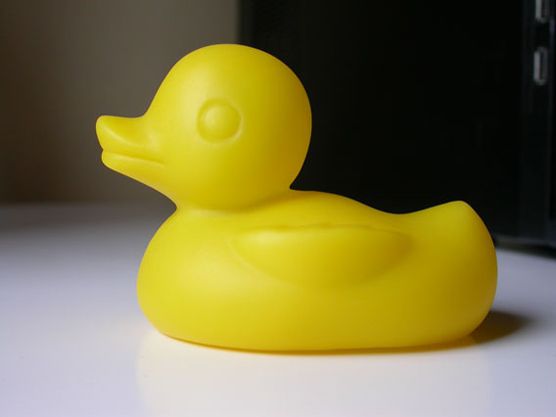 Duck Fever Show 1